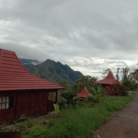 Home Stay Wolokoro Ecotourism Bajawa Eksteriør bilde