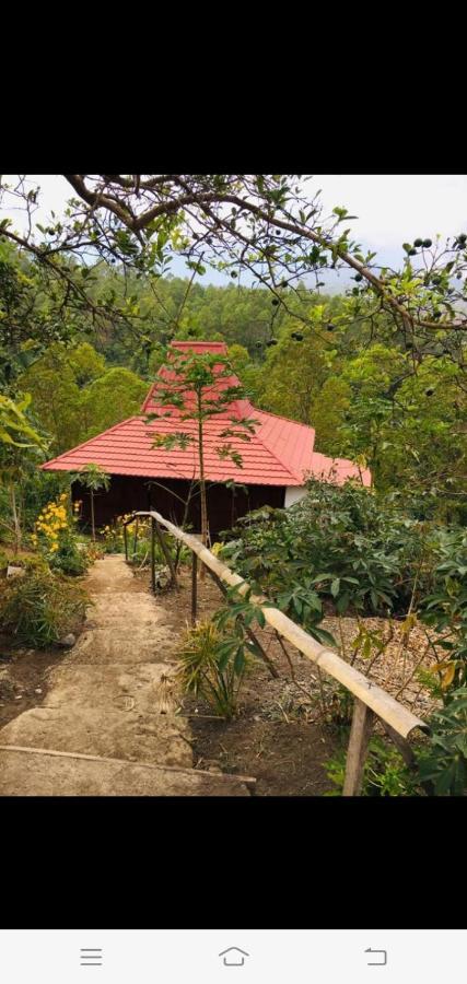 Home Stay Wolokoro Ecotourism Bajawa Eksteriør bilde
