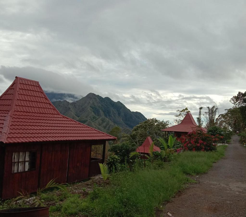 Home Stay Wolokoro Ecotourism Bajawa Eksteriør bilde