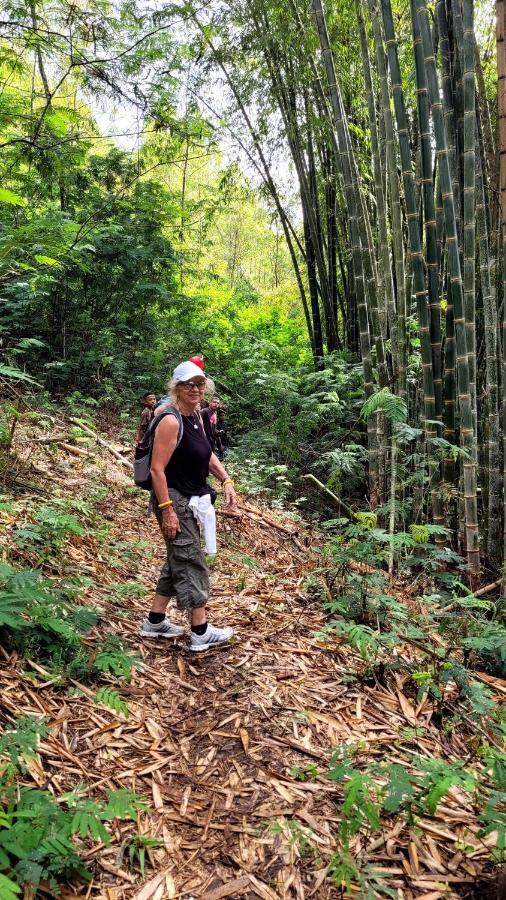 Home Stay Wolokoro Ecotourism Bajawa Eksteriør bilde