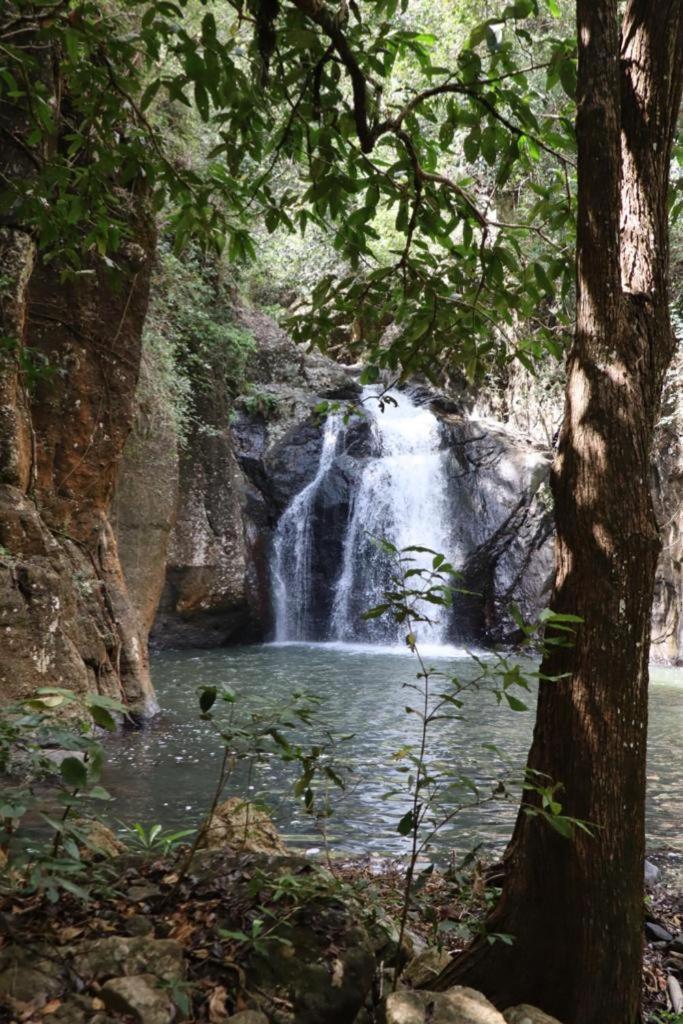Home Stay Wolokoro Ecotourism Bajawa Eksteriør bilde